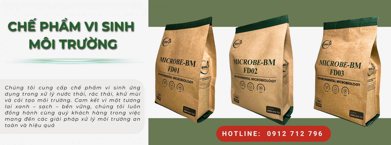 Vi sinh xử lý môi trường